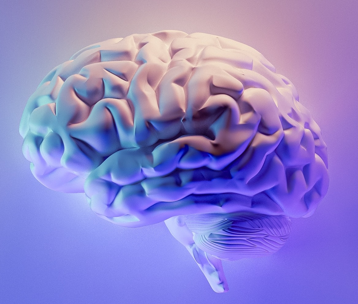 A comparison of Deep Learning and human vision